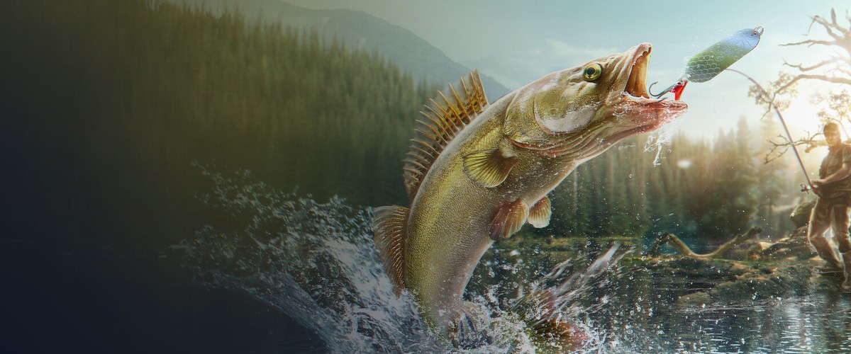 Professional Fishing 2